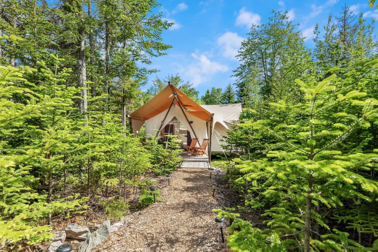 Under Canvas Acadia Surry Exterior photo